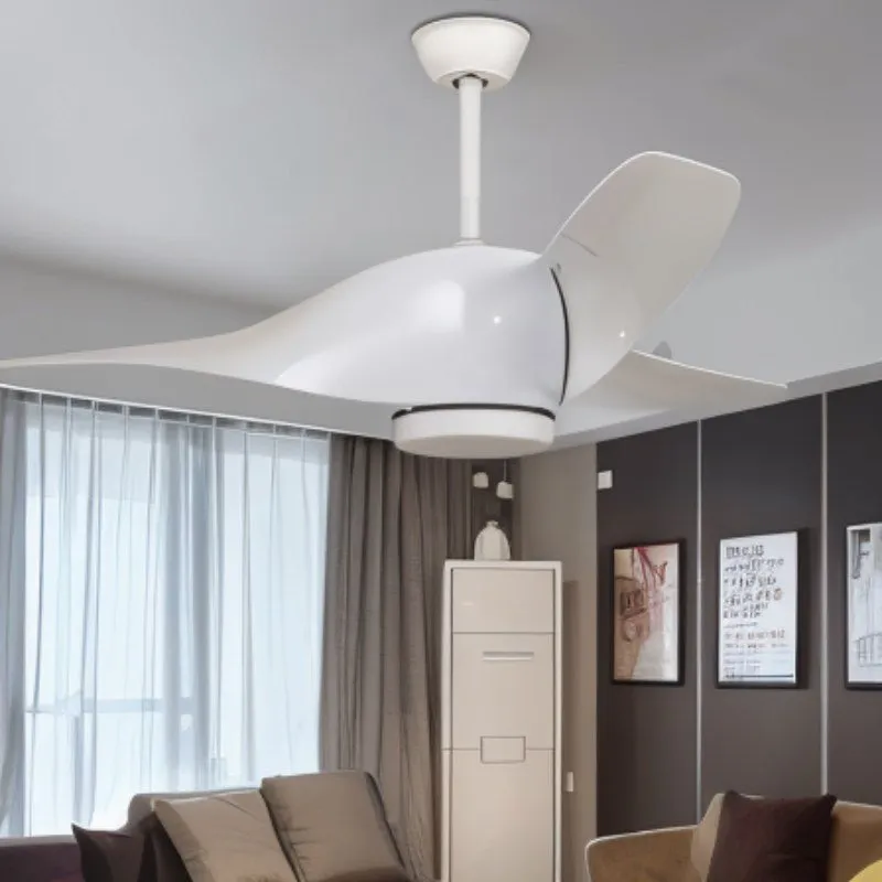 Akash Ceiling Fan