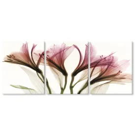 Canvas Print - 3 Pieces Elegant Floral 16x20Inchx3pcs