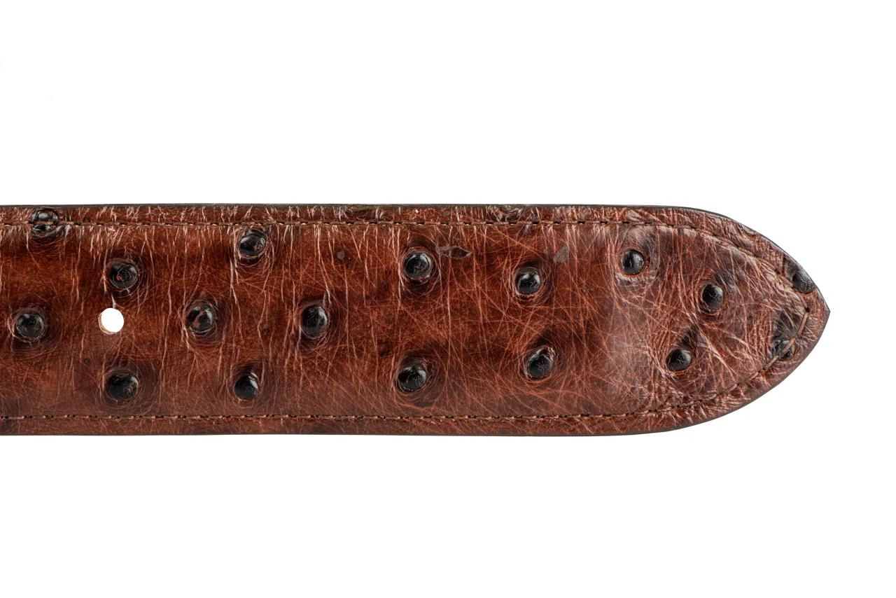 Chacon 1.5" Full-Quill Ostrich Straight Belt Strap