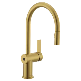 Cia Motionsense Wave One-Handle High Arc Pulldown Kitchen Faucet