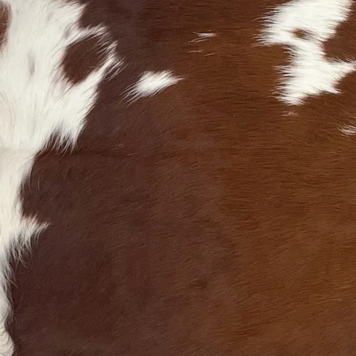 Dark Brown and White Colombian Cowhide - 5'11" x 4'10" (COBNW347)