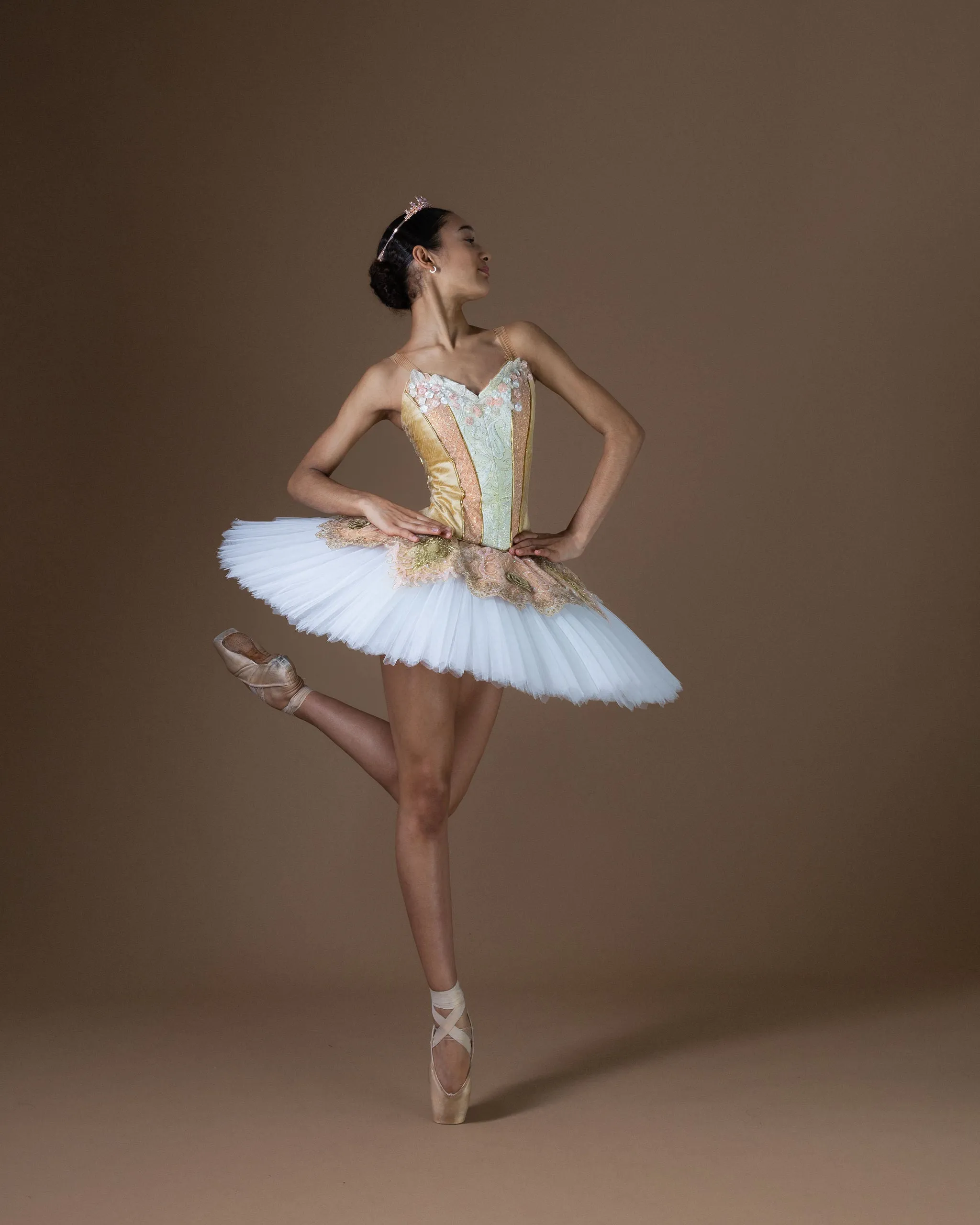 Elegant Gold and Peach Tutu for Hire Only